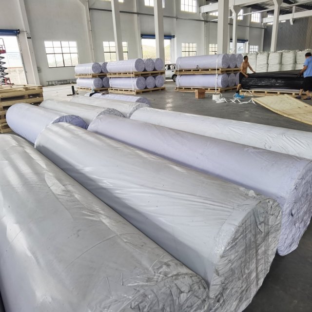 3000mm width PP poultry manure conveyor belts